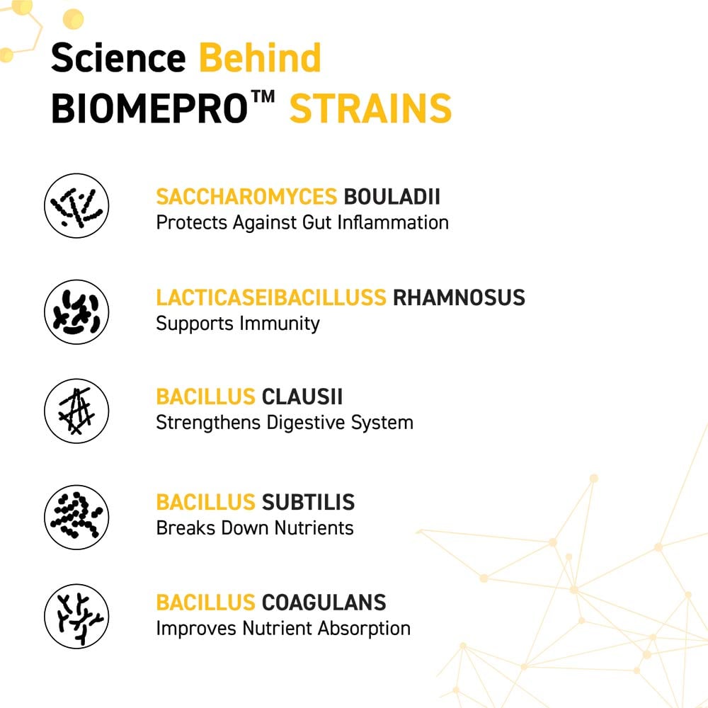 MuscleBlaze Biozyme Gold 100% Whey | 2kg • Double Rich Chocolate